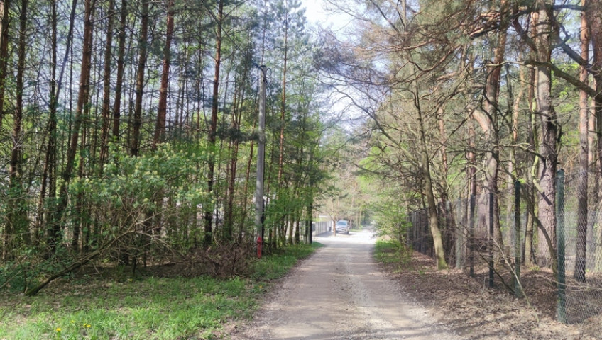 Działka Sprzedaż Wyględy